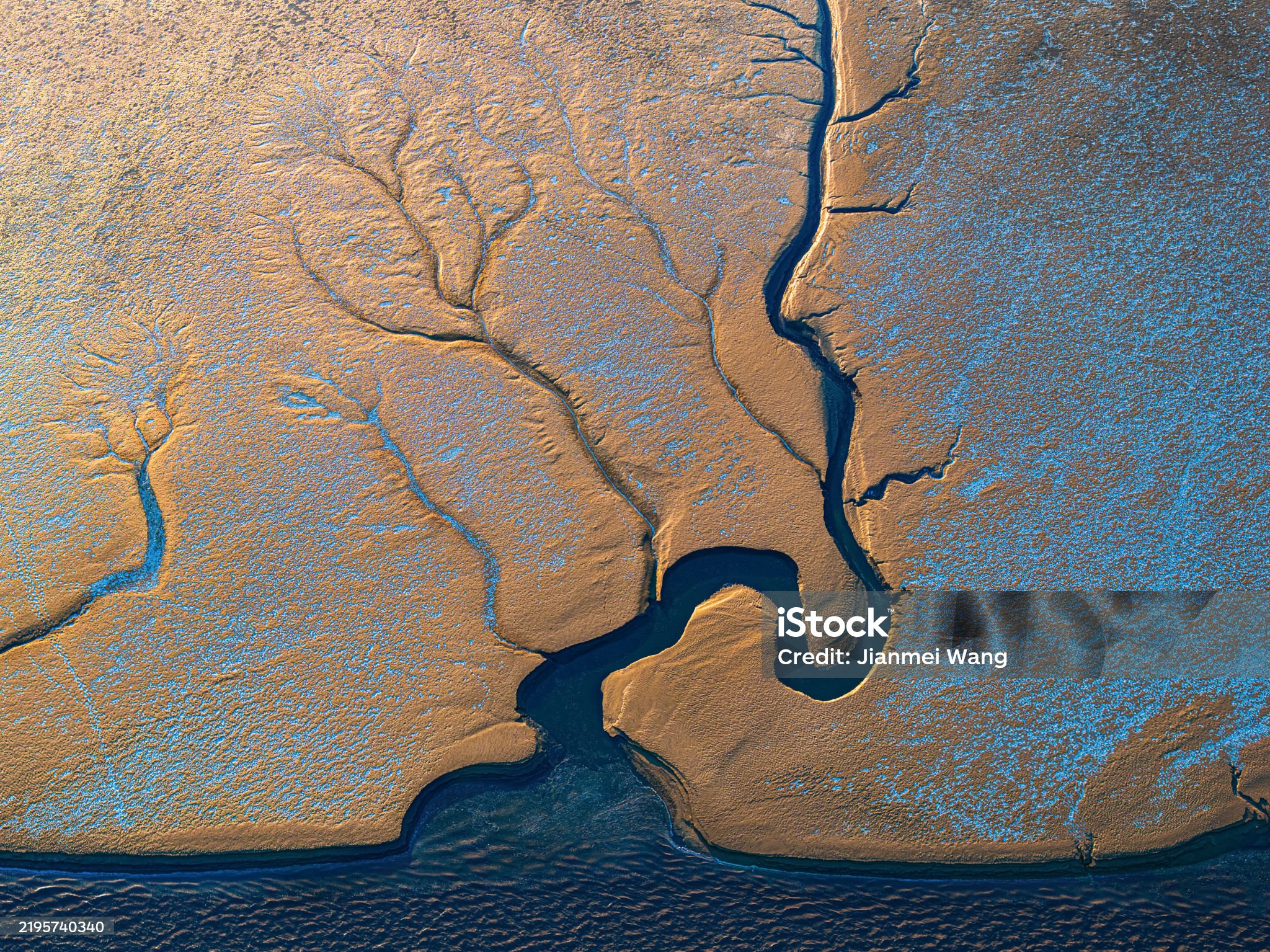 As the tides recede, the mudflat patterns form tree-like shadows. The blend of blue and gold hues creates a vivid natural tableau, offering a sense of tranquility and wonder.