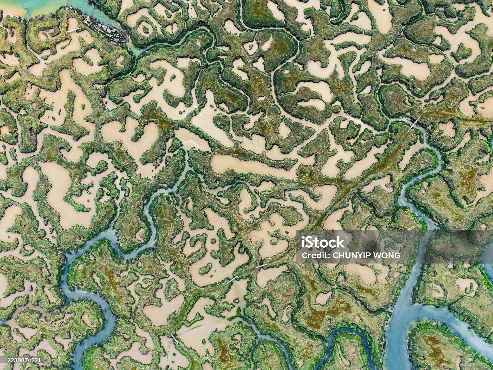 Aerial view of the mesmerizing patterns created by creeks winding through the salt marshes of tollesbury, essex, showcasing nature's artistry