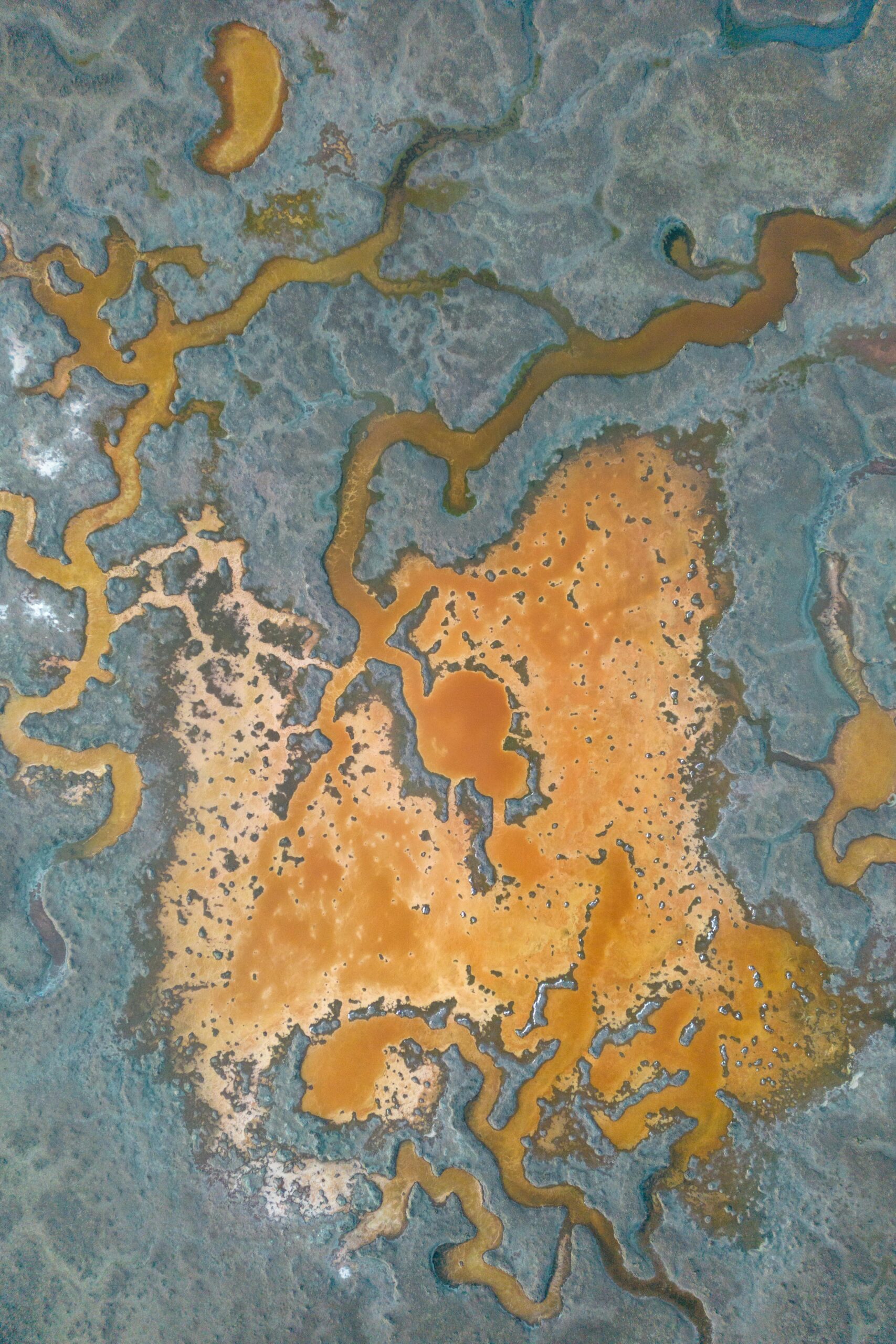 Formas organicas teal e amber